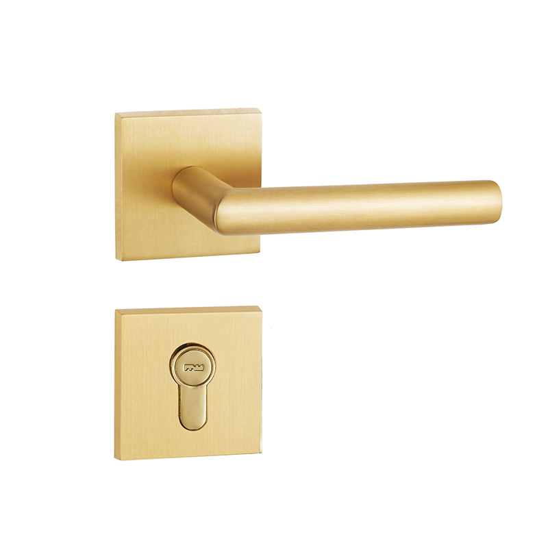 F6557Euro Profile Mortise Lever Handle