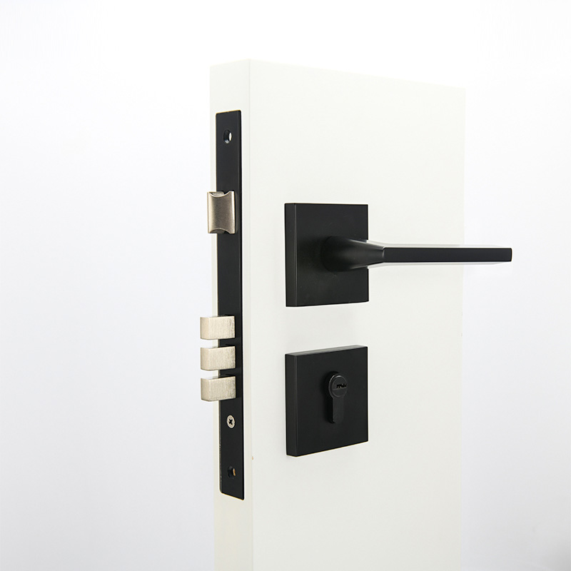 F6572 Euro Profile Mortise Lever Handle